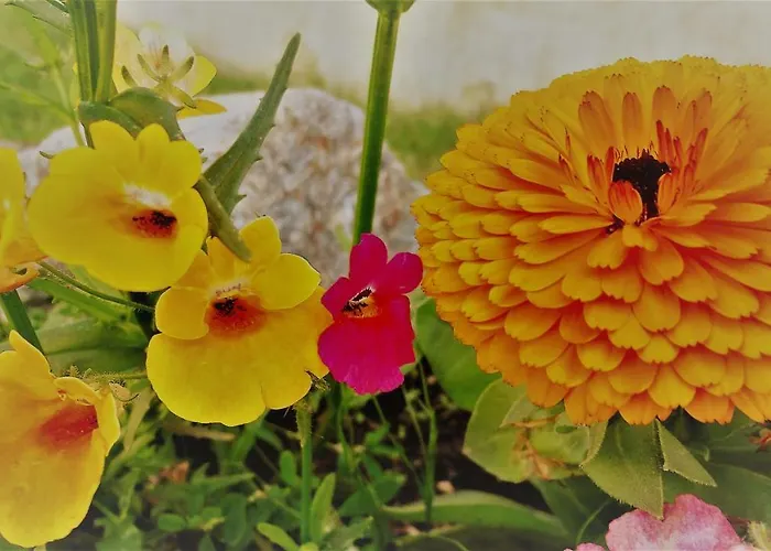 Appartement Bait Da Pizabela 1 Livigno